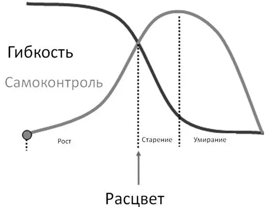 Обратите внимание в периоде расцвета вы попрежнему растете вы еще не на - фото 2