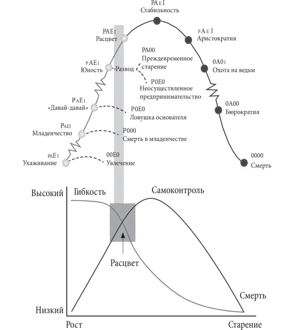 Книги Ицхака Адизеса в которых подробно описывается тема Управление - фото 13