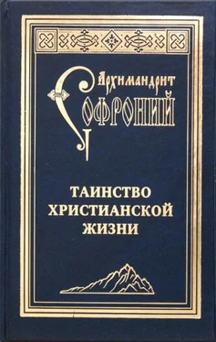 Софроний Сахаров Таинство христианской жизни обложка книги