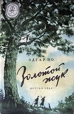 Эдгар Аллан По Золотой жук(изд.1946) обложка книги