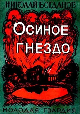 Николай Богданов Осиное гнездо обложка книги