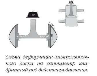 С другой стороны Вилке и его команда получили схожие результаты хотя - фото 45