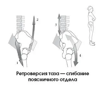 АНТЕВЕРСИЯ ТАЗА При антеверсии таза поясничный лордоз увеличивается - фото 80