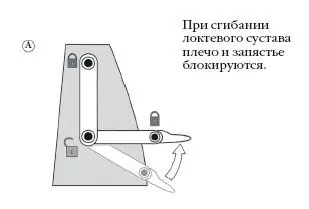 На следующем рисунке В можно увидеть положение руки без стабилизации плеча - фото 107
