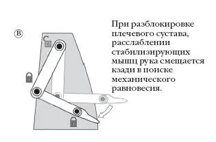 Стабилизирующая постуральная и двигательная активность мускулатуры чрезвычайно - фото 108