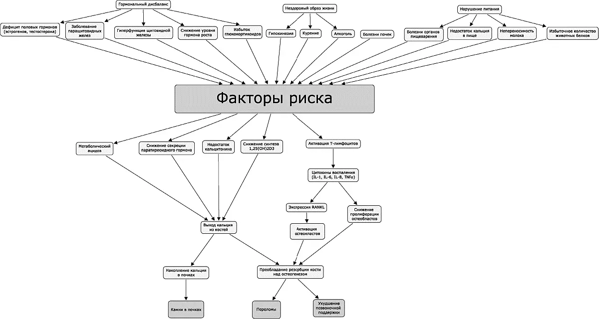 Рис 23 Таким образом профилактика остеопороза состоит в употреблении - фото 55