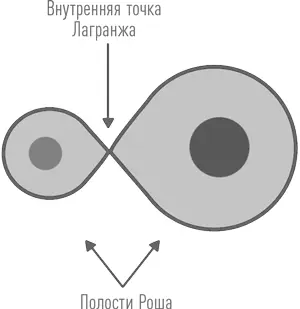 Полости Роша в двойной системе Звезды могут обмениваться массой через так - фото 40