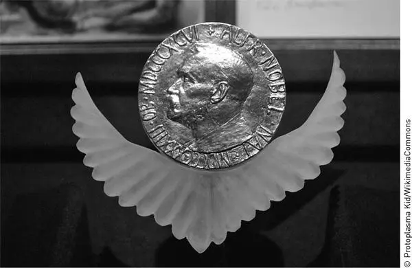 Нобелевская медаль Послесловие Писать книгу о нейтронных звездах сложно не - фото 61