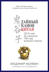 Владимир Малявин - Тайный канон Китая