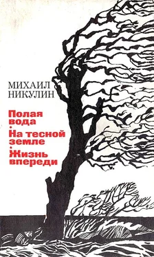 Михаил Никулин Полая вода. На тесной земле. Жизнь впереди обложка книги