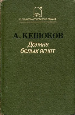 Алим Кешоков Долина белых ягнят обложка книги