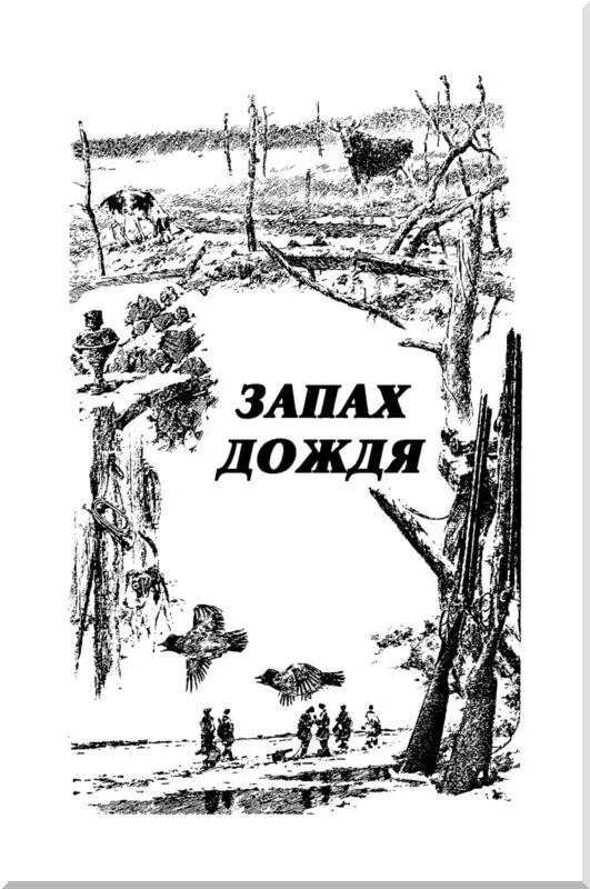 ЗАПАХ ДОЖДЯ КАДНИЦЫ учьи это счастье и беда Кадниц Они текут отовсюду из - фото 3