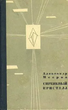 Александр Мееров Сиреневый Кристалл обложка книги