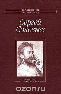 Сергей Соловьев Собрание Стихотворений обложка книги