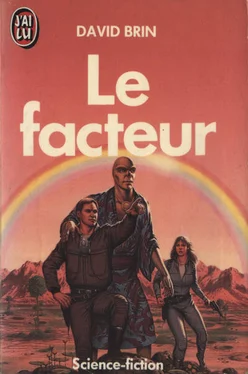 David Brin Le facteur обложка книги