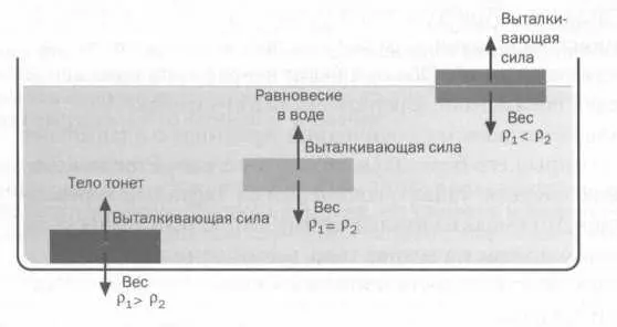 Плотность р тела определяется как отношение массы т тела к его объему V - фото 43
