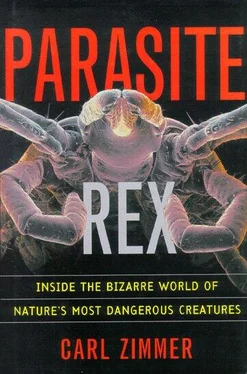 Carl Zimmer Parasite Rex: Inside the Bizarre World of Nature's Most Dangerous Creatures обложка книги