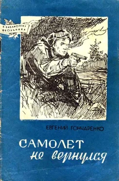 Евгений Гончаренко Самолет не вернулся обложка книги