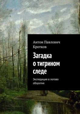 Антон Кротков Загадка о тигрином следе обложка книги