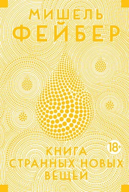 Мишель Фейбер Книга странных новых вещей обложка книги