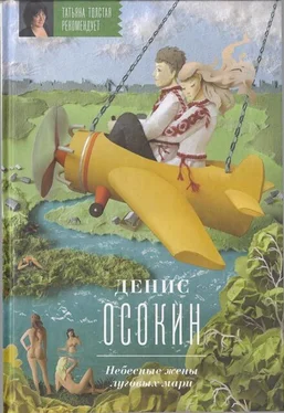 Денис Осокин Осокин Д.С. Небесные жены луговых мари обложка книги