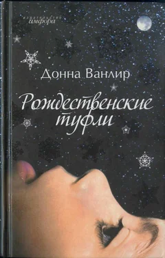 Донна Ванлир Рождественские туфли обложка книги