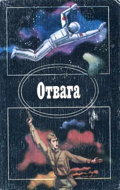 Игорь Бестужев-Лада Отвага обложка книги