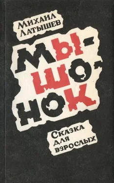 Михаил Латышев Мышонок обложка книги