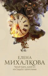 Елена Михалкова - Черный пудель, рыжий кот, или Свадьба с препятствиями