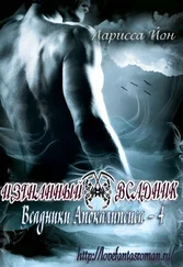 Ларисса Йон - Изгнанный всадник