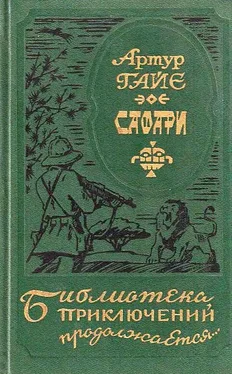 Артур Гайе Сафари обложка книги