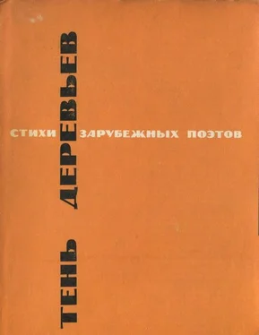 Автор неизвестен Европейская старинная Тень деревьев обложка книги