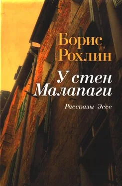 Борис Рохлин У стен Малапаги обложка книги