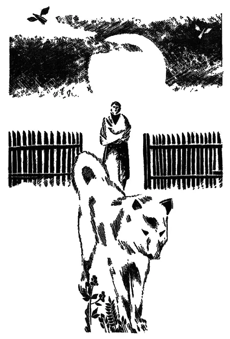 Постепенно баба Майга просто возненавидела пса Из вечера в вечер она - фото 10