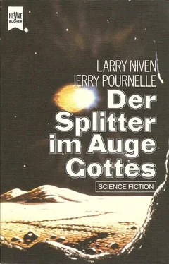 Larry Niven Der Splitter im Auge Gottes обложка книги