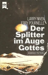 Larry Niven - Der Splitter im Auge Gottes