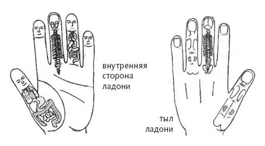 Рис 6 а б Система насекомого на пальцах рук Рис 6 в Система насекомого - фото 21