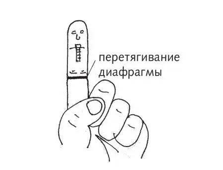 Рис 10 в Зона диафрагмы по системе насекомого Затем прорабатываем наружную - фото 35