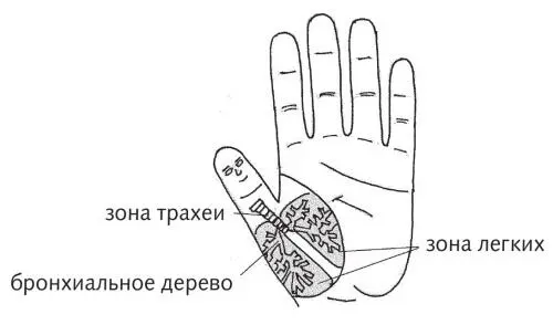 Рис 36 а Зона легких Зона легких рис 36 а неизбежно задействуется при - фото 88