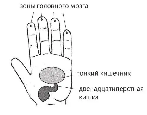 Рис 36 б Зона тонкого кишечника и мозга Рис 36 в Зона мочевого пузыря - фото 89