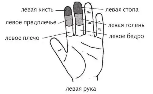 Рис 37 а Подобие конечностей по стандартной системе Разберемся подробно с - фото 91