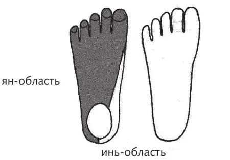 Рис 44 а б в г Границы инь и янповерхностей Как мы можем использовать - фото 112