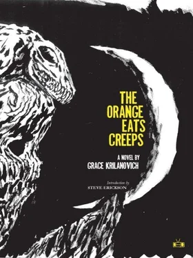 Grace Krilanovich The Orange Eats Creeps обложка книги