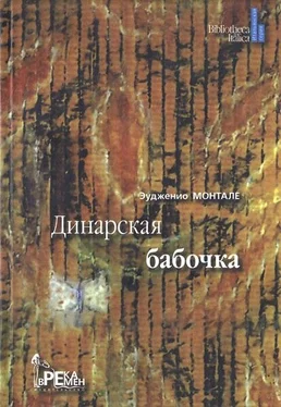 Эудженио Монтале Динарская бабочка обложка книги