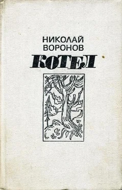 Николай Воронов Котел. Книга первая обложка книги