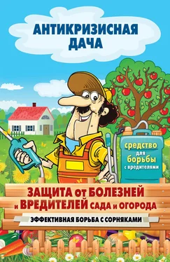 Сергей Кашин Защита от болезней и вредителей сада и огорода. Эффективная борьба с сорняками обложка книги