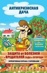 Сергей Кашин - Защита от болезней и вредителей сада и огорода. Эффективная борьба с сорняками