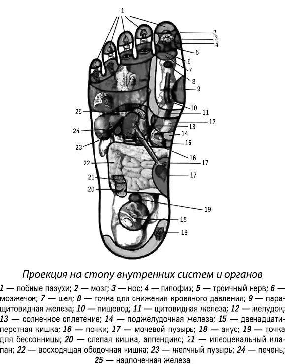 Можно спроецировать на всего человека например его руку и наоборот конечно - фото 11