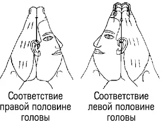 Но совсем не важно на какую точку воздействует врач важно какую систему - фото 14