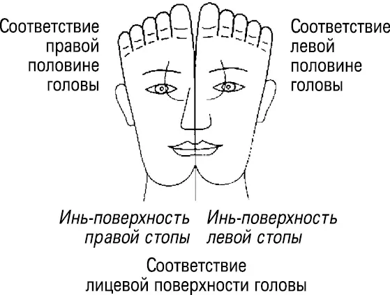 Но совсем не важно на какую точку воздействует врач важно какую систему - фото 15